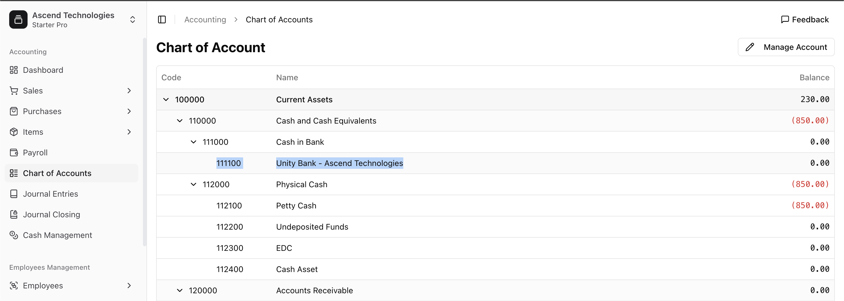Bank account in the Chart of Accounts
